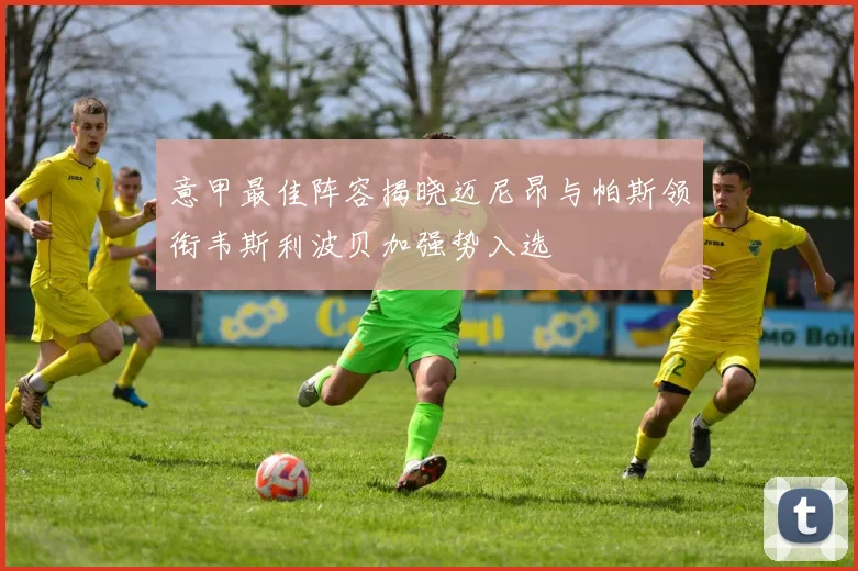 意甲最佳阵容揭晓迈尼昂与帕斯领衔韦斯利波贝加强势入选