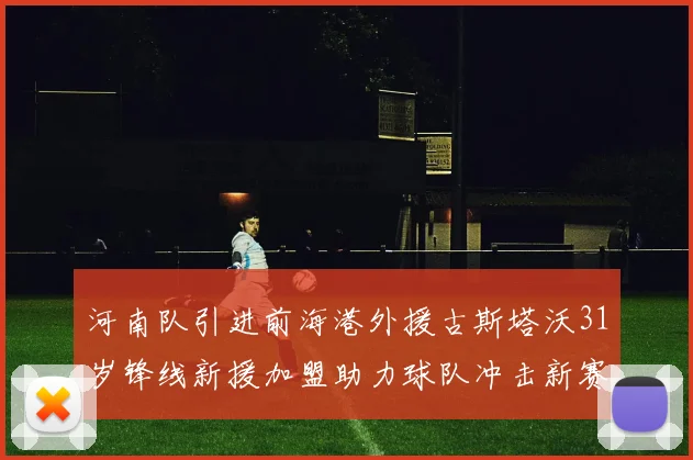河南队引进前海港外援古斯塔沃31岁锋线新援加盟助力球队冲击新赛季
