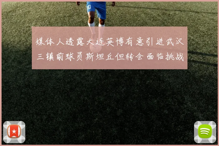 媒体人透露大连英博有意引进武汉三镇前球员斯坦丘但转会面临挑战